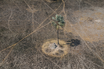 Landscape of the Okavango Delta from an aerial view, Botswana, Africa