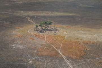 Landscape of the Okavango Delta from an aerial view, Botswana, Africa