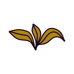 Fototapeta premium foliage leaves nature ecology icon