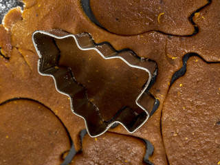 Gingerbread baking in the home's kitchen