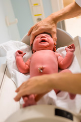 A newborn baby is examinate in hospital just after childbirth. Length measurement. Closeup vertical photo.