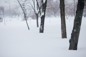 Abstract blurred people silhouettes walking along snowy street in winter. Heavy snowfall in the city. Blurred image of a man.
