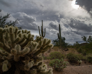 storm clouds in the desert