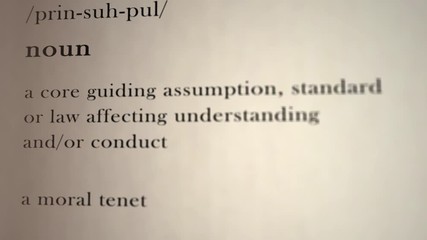 Principle Definition