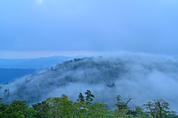 大台ケ原日出ヶ岳山頂で見た幻想的な雲海の情景