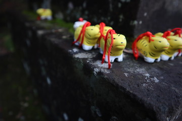 身代わり寅　－　多門院（所沢市）