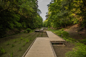 A wooden path at Noumizo Falls