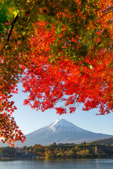 Fuji Mountain and Red Maple Leaves in Autumn at Kawaguchiko Lake, Japan