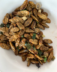 Roasted pupa for Thai meal in local market stall