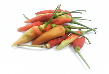 isolated hot red chili on a white background. Capsicum annuum.