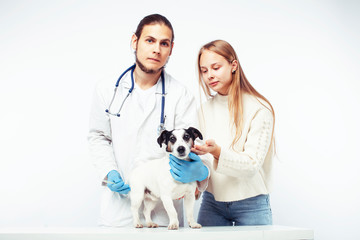 young veterinarian doctor in blue gloves examine little cute dog jack russell isolated on white background with owner blond girl holding it, animal healthcare