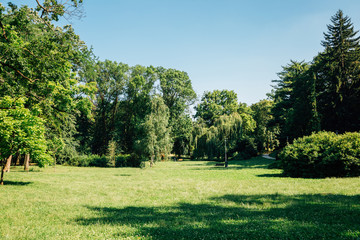 Fototapeta na wymiar Park Ribnjak green forest in Zagreb, Croatia