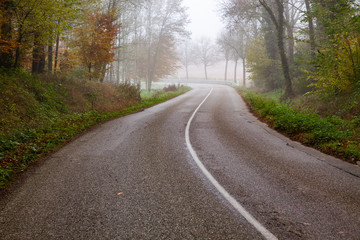 Fototapeta na wymiar beautiful foggy forest in autumn