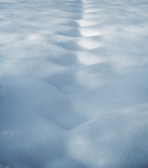 Diminishing pattern in untouched snow