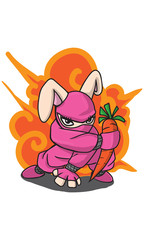rabbit ninja