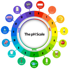 Diagram showing ph scale