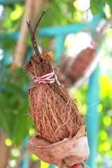 Grafting or graftage is a horticultural technique whereby tissues of plants are joined so as to...