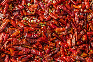 Hundreds of dried red chili peppers.
