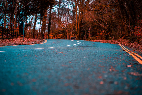 Curvy road in autumn with fall colors and bokeh (blurred background) in a forest. Street with bendy double yellow line in the Lake District, Cumbria, UK.
