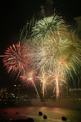 fireworks in the night sky