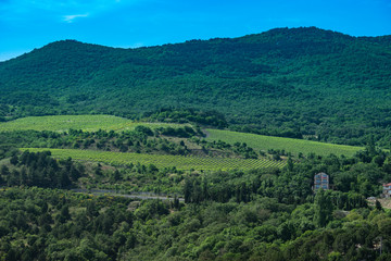 Fototapeta na wymiar Mountain landscape with vineyards and houses.