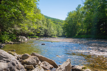 A stream bordered by forest in Vermont, USA.