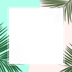 Palm leaves decorated on the soft pastel color background