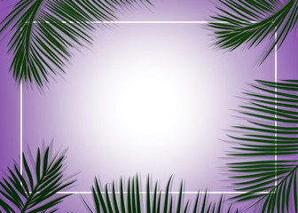 Fototapeta na wymiar Palm leaves decorated on the soft pastel color background