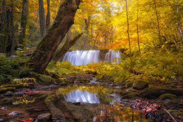 the perfect reflection waterfall , Oirase gorge in autumn, Tohoku, Aomori - 306476287