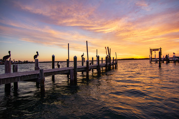 Obraz premium Colorful Sunrise on Old Wooden Dock with Flock of Pelicans and Choppy Waves