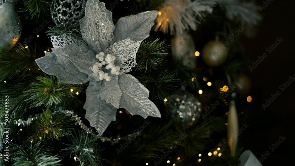 Poster tree out of focus bokeh providing twinkle lights