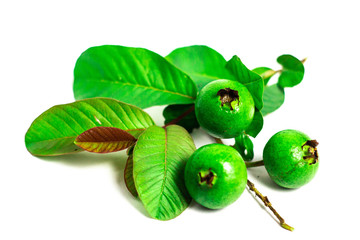 wild jungle guava and guava leaves on a white background