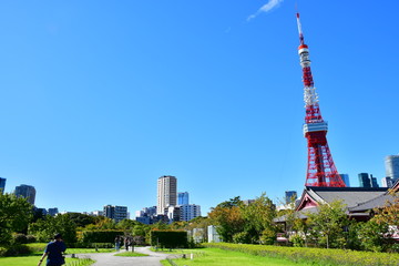 Fototapeta premium Tokyo Tower from The Garden
