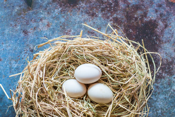 Top view of fresh organic white eggs on nest hay on dark grunge background with copy space.