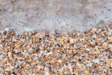 small shell sand beach and foam of sea water summer nature or vacation background