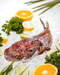 red fish on ice surrounded with fruit slices