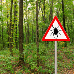 Tick insect warning sign in nature forest. Lyme disease and tick-borne meningitis (meningoencephalitis) transmitter 