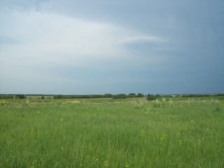 green field and blue sky