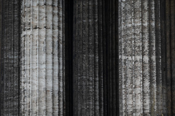 Fototapeta premium The fragment is visible on a group of gray stone classical columns. The surface of the stone is covered with scratches and cracks from the effects of weather and time.Kazan Cathedral, Saint Petersburg