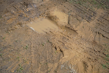 Car tyre prints on a dirt road.