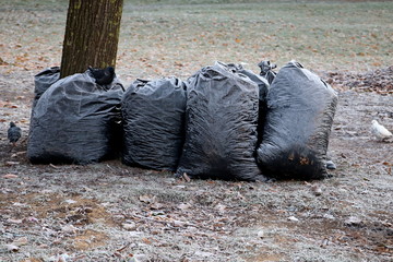 the plastic bags filled with a garbage