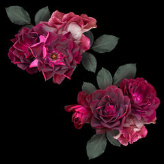Marsala roses isolated on black background. Floral arrangements, bouquet of garden flowers. Can be used for invitations, greeting, wedding card.