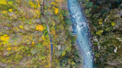 Aerial view from above. Mountain river in the forest. Green tree.