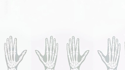Finger bones isolated on a white background
