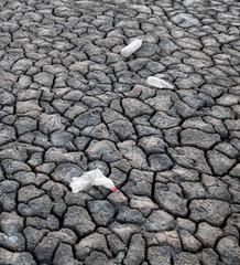 Garbage on the ground