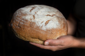 Hands holding fresh round bread.