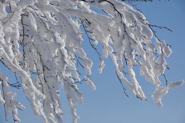 Schöner sonniger Wintertag 