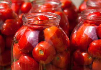 Pickling (canning) the tomatoes.