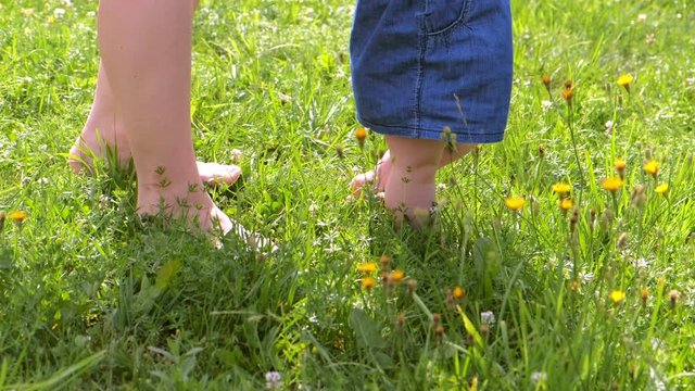 Mom learning baby daughter to walk, first steps in park at summer warm day, barefooted legs in grass closeup, side view, . Baby girl is trying to go making first steps holding mother's hands.
