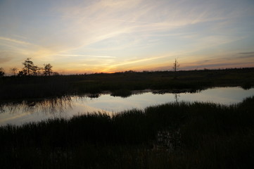 Obraz premium sunset in the swamp